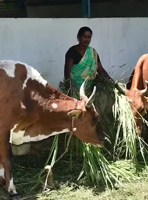 Highlights of the Global People’s Summit on Food Systems