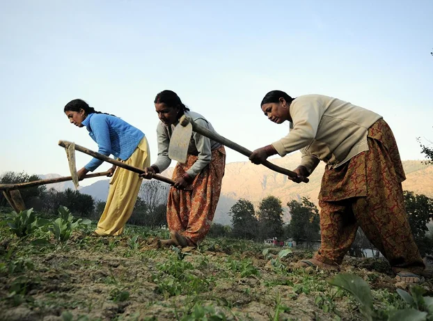 A woman farmer tending an agroecological plot