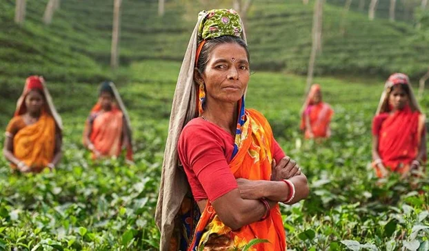 Rural women at a social protection and labour rights workshop