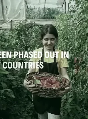 Time to Act: Phase Out Highly Hazardous Pesticides
