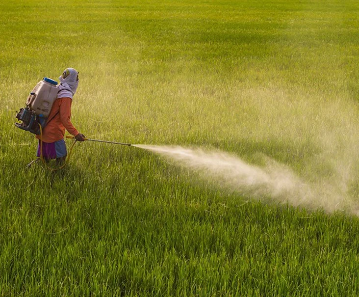 Community members recording pesticide exposure in the field