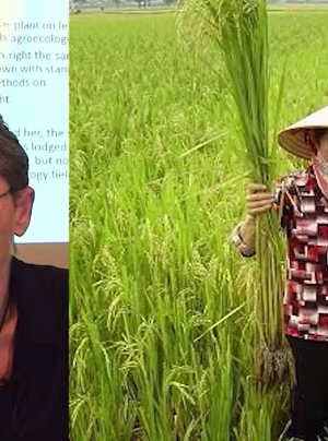 Talk on phasing out highly hazardous pesticides with agroecology