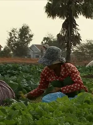 AGROECOLOGY IN ACTION: The Women of Kampong Speu, Cambodia