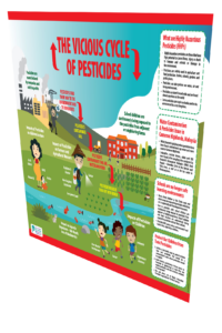 The Vicious Cycle Of Pesticides