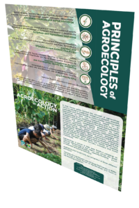 Agroecology In Action