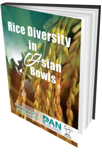 Rice Diversity in Asian Bowls